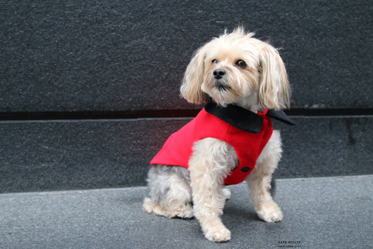 Exploring NYC in the Red Cashmere Dog Coat