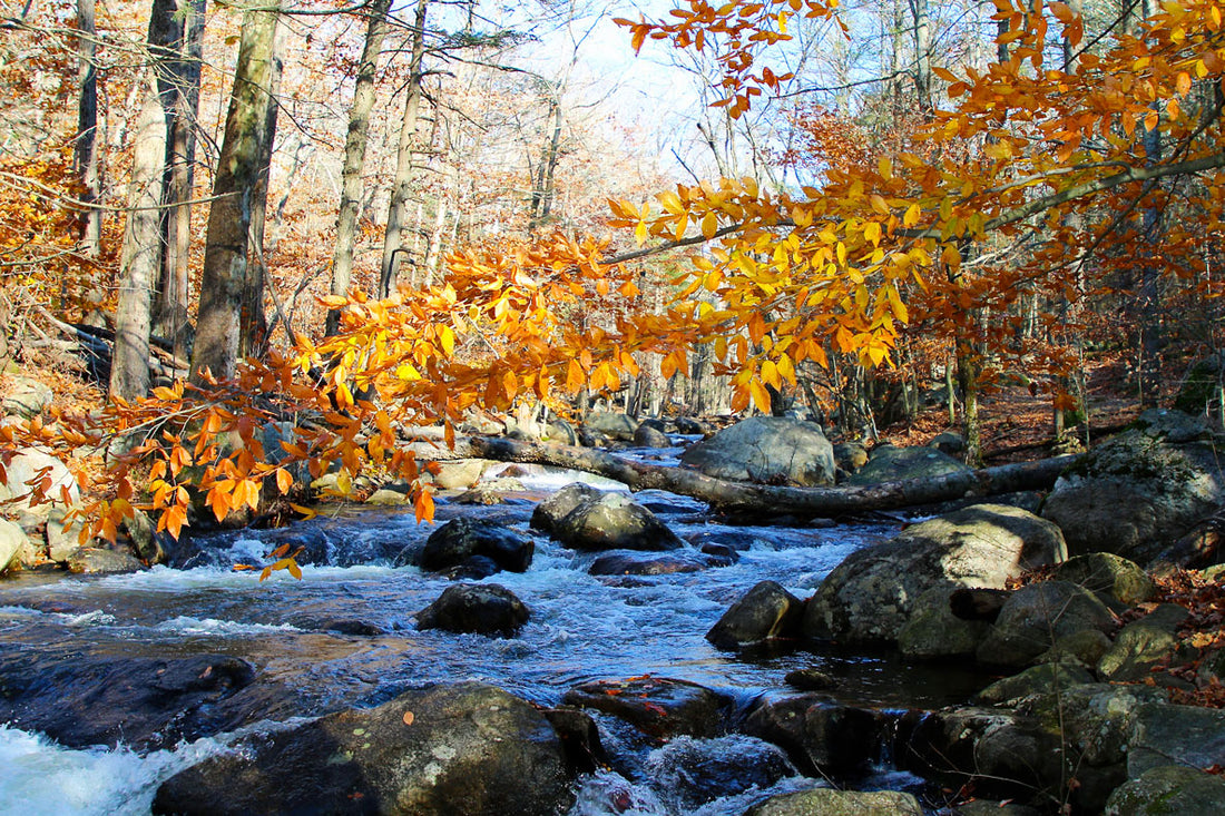 Fall in Upstate New York