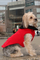 Victoria Stoltz Red Cashmere Dog Coat